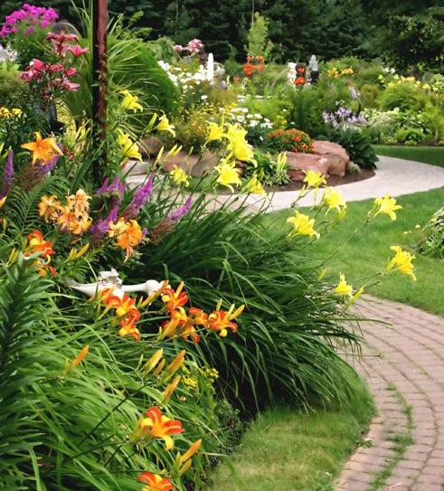 Лилейник в дизайне сада: примеры композиций, виды и сорта, советы по выращиванию